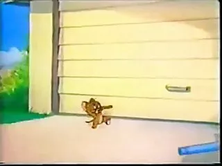 ჯონი სინსი, ელიზა ჯეინი ნუ ეუბნები მამას [საუკეთესო ბრაზერები]