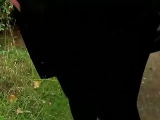 Xander Corvus, Ella Nova Backstage Booty [საუკეთესო ბრაზერები]